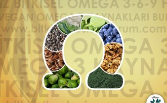 vegan omega 3 kaynakları