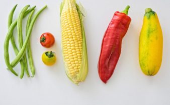 eylül ayı ve sebze ve meyveleri, sonbahar sebzeleri nelerdir : fasulye, mısır, biber, kabak